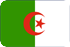 Marketing SMS  Argélia